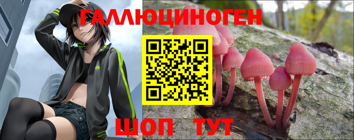 Галлюциногенные грибы Cubensis Северодвинск